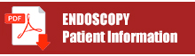 PDF-DL-Endoscopy-2